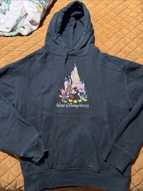 Disney vault hoodie